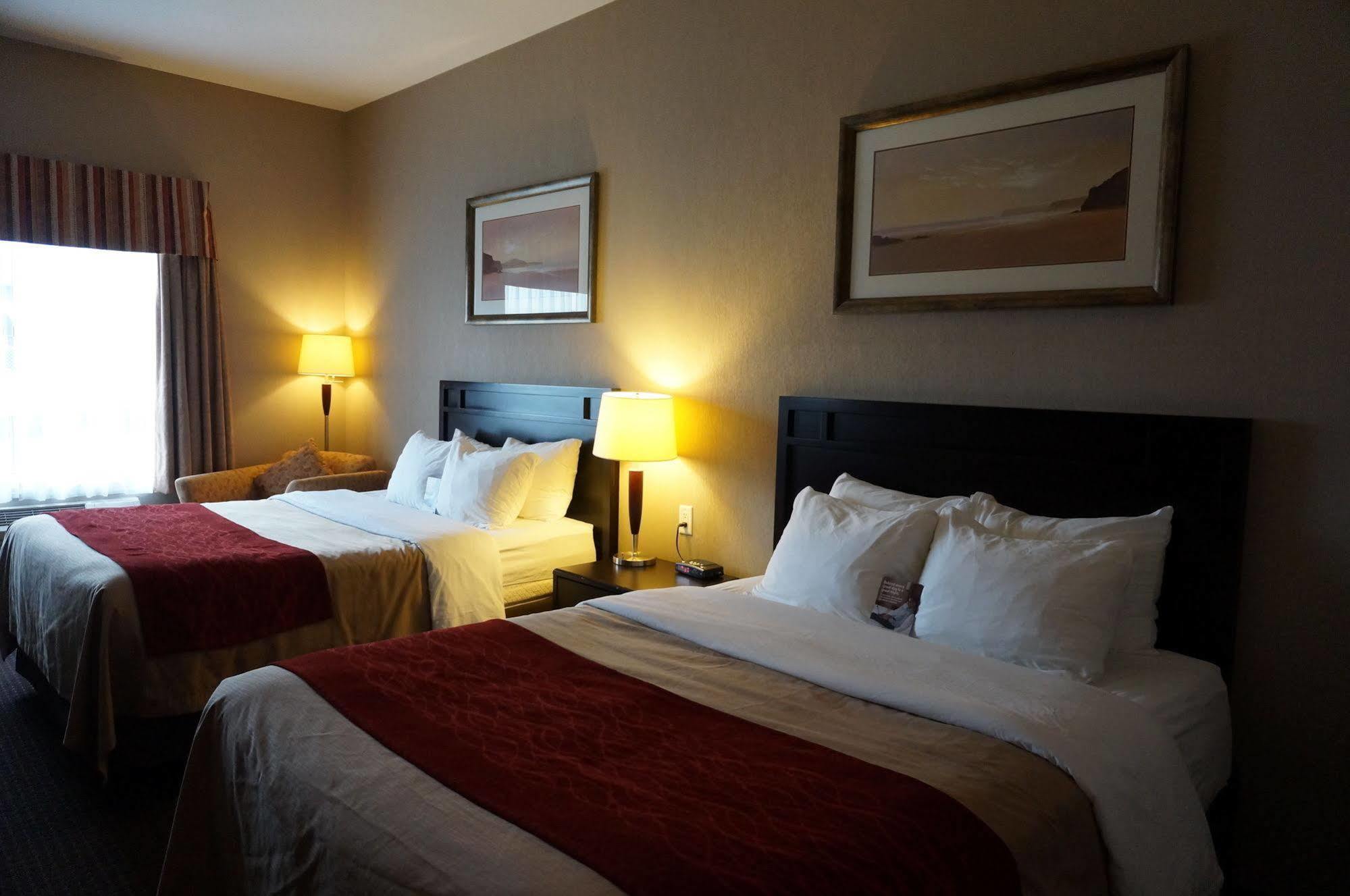 Comfort Inn & Suites Sylvan Lake Exterior foto